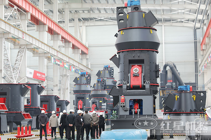 客戶一行來廠考察生石灰磨粉設備