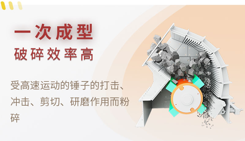 內部結構 內部結構